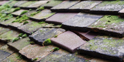 Nesscliffe roof repair costs
